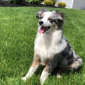 Meet your Posher, Maggie